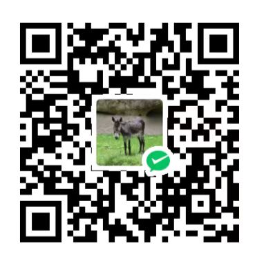 Wumoum 微信支付